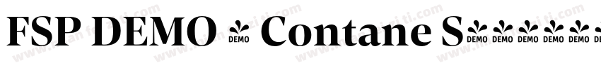 FSP DEMO - Contane S字体转换